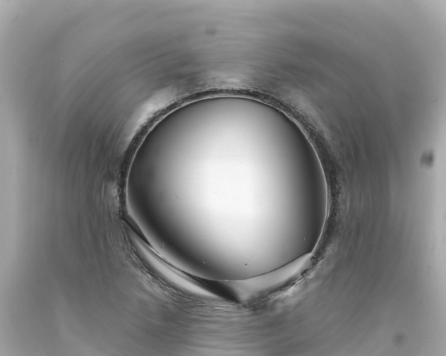 X0000094201218200711021043