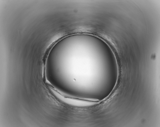 X0000094201219200711021043