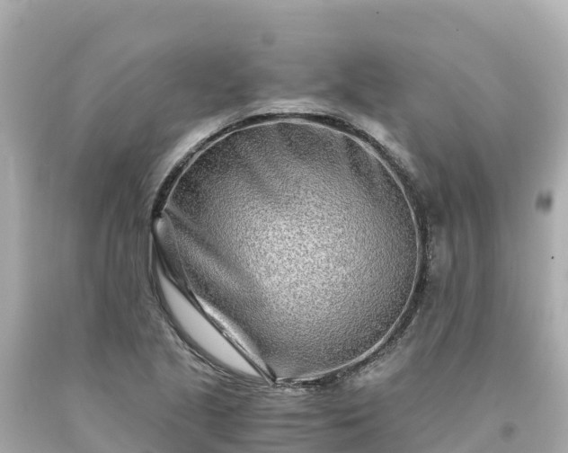 X0000094201221200711021043