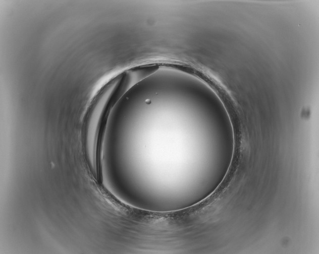 X0000094201222200711021043