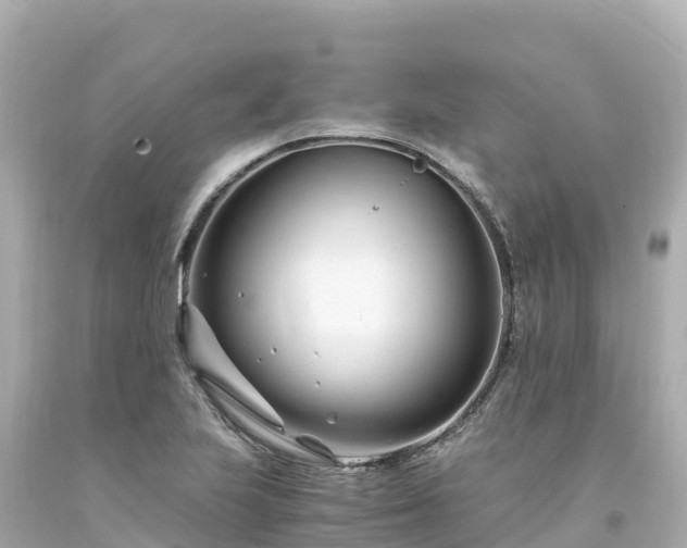 X0000094201223200711021043