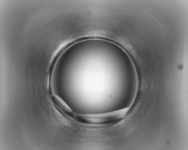 X0000094201224200711021043