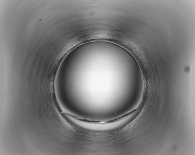 X0000094201225200711021043
