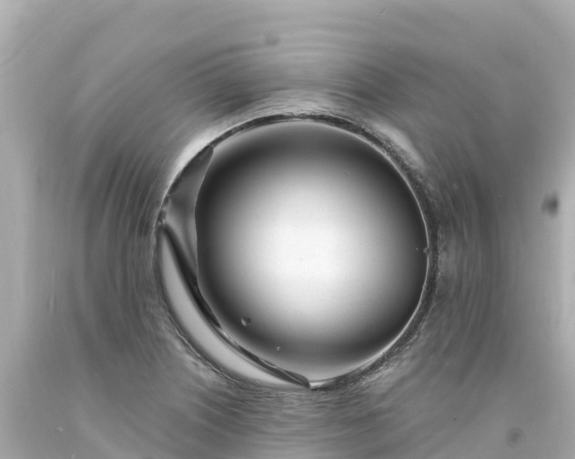 X0000094201226200711021043