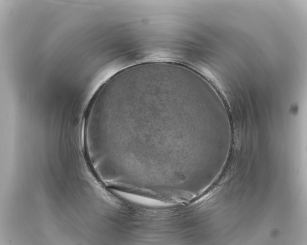 X0000094201227200711021043