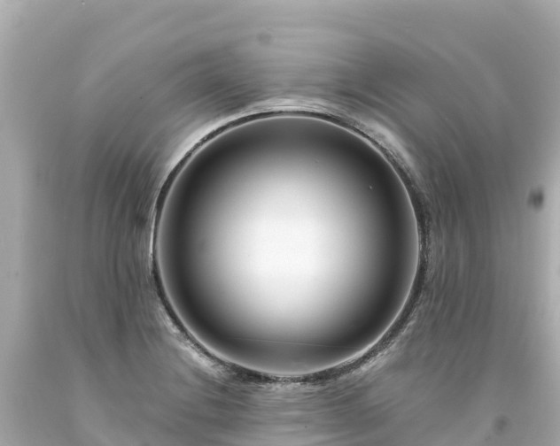 X0000094201228200711021043