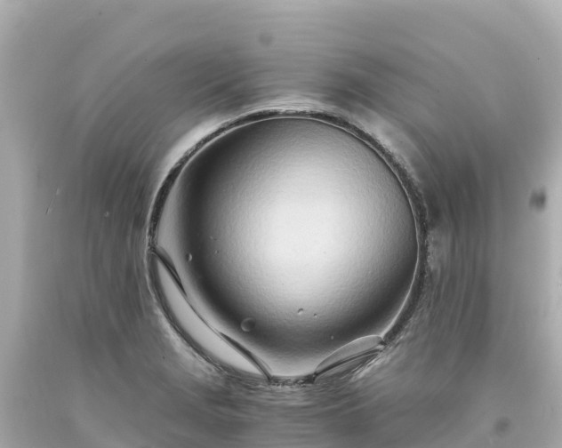 X0000094201229200711021043