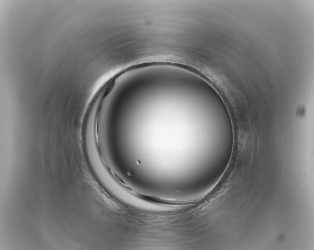 X0000094201230200711021044