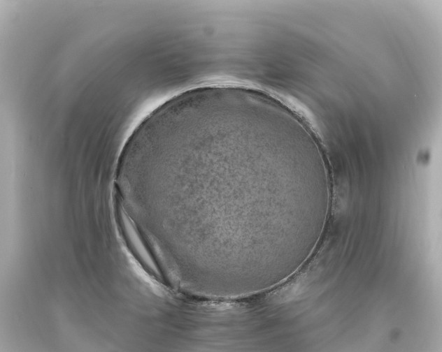 X0000094201231200711021044