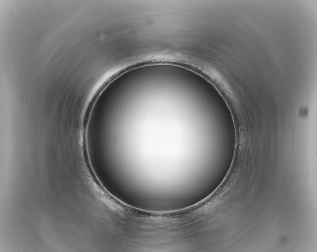 X0000094201232200711021044