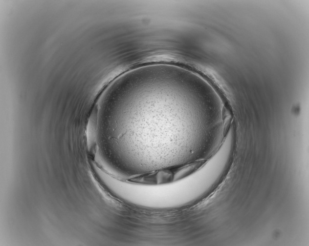 X0000094201233200711021044
