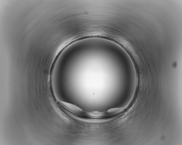 X0000094201234200711021044