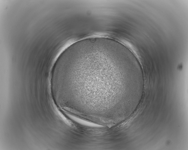 X0000094201235200711021044