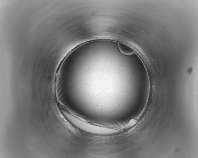 X0000094201236200711021044