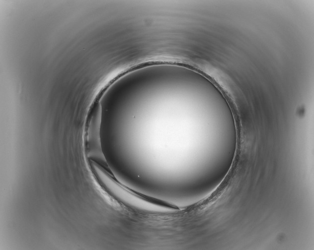 X0000094201237200711021044