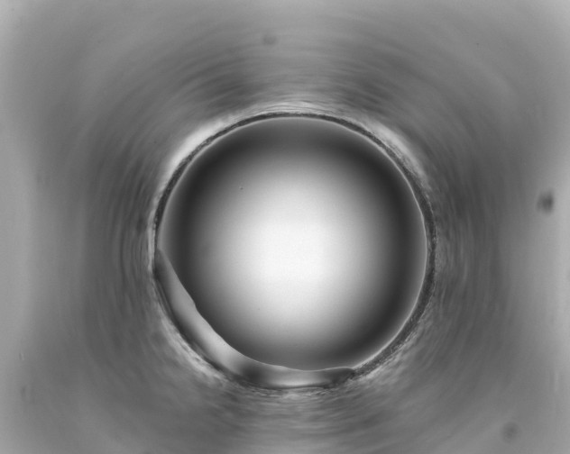 X0000094201238200711021044