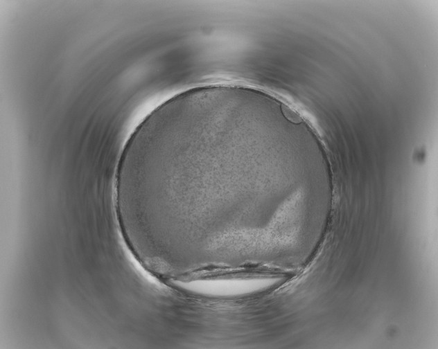X0000094201239200711021044