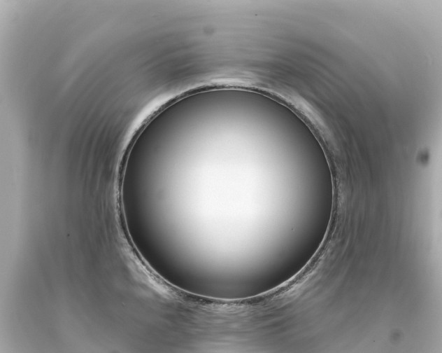 X0000094201240200711021044