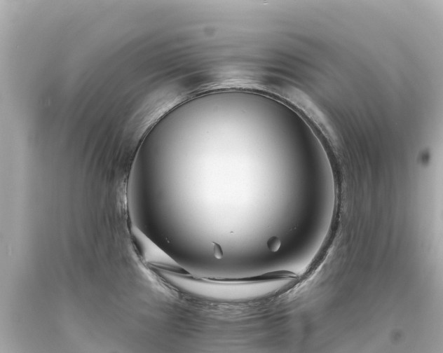 X0000094201241200711021044