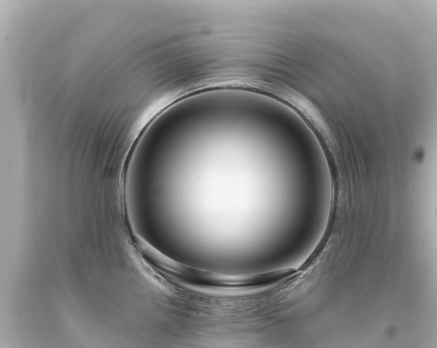X0000094201242200711021044