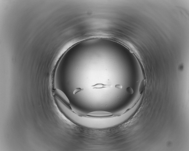 X0000094201243200711021044