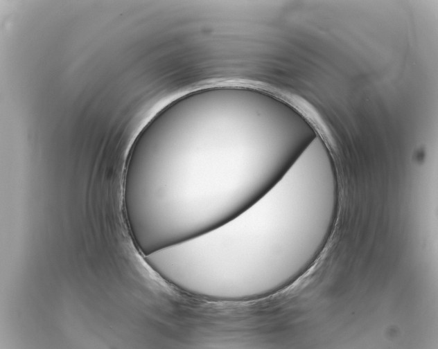X0000094201244200711021044