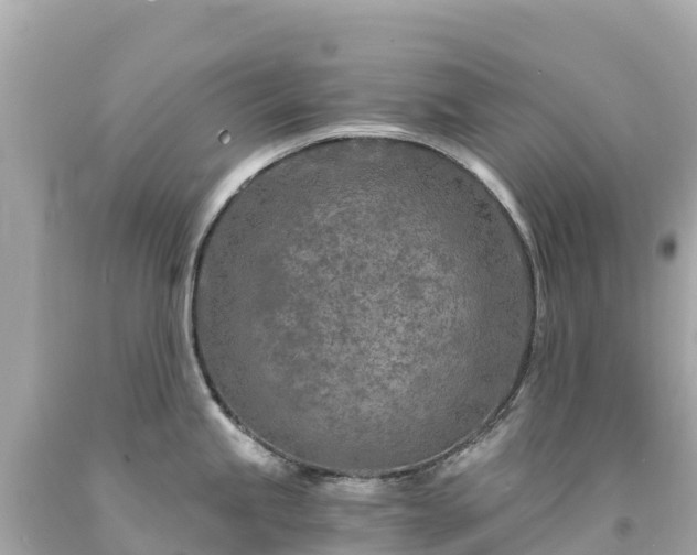 X0000094201245200711021044