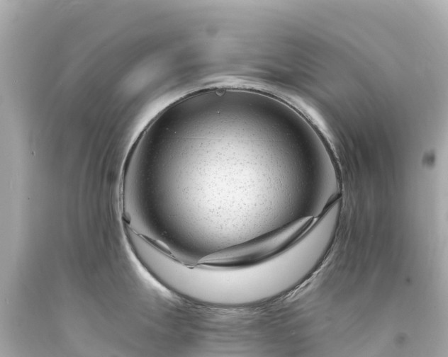 X0000094201247200711021044