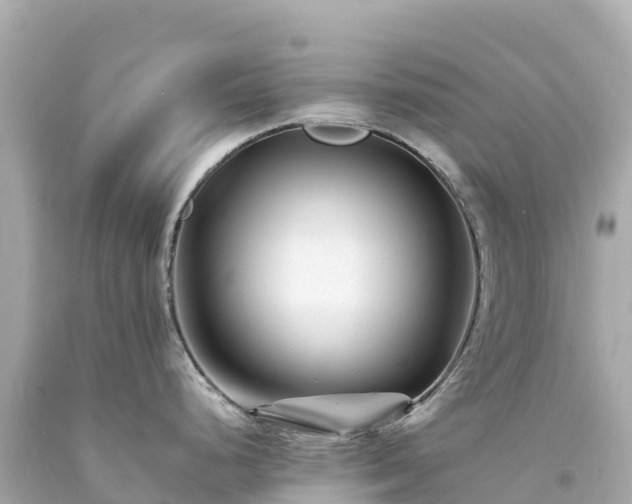 X0000094201248200711021044