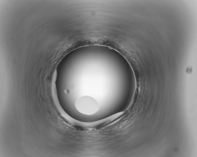 X0000094201249200711021043