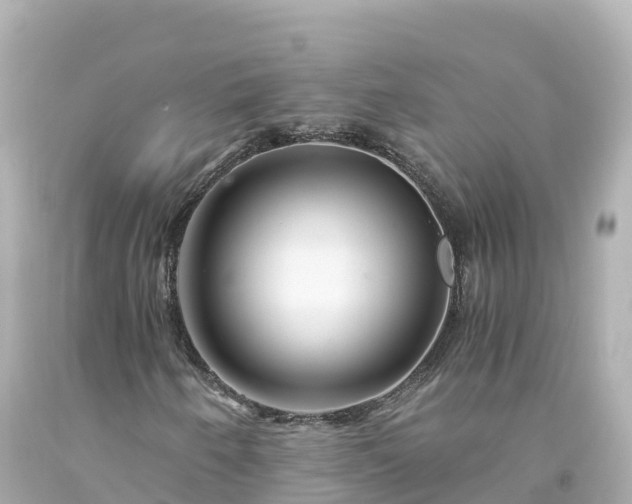 X0000094201250200711021043