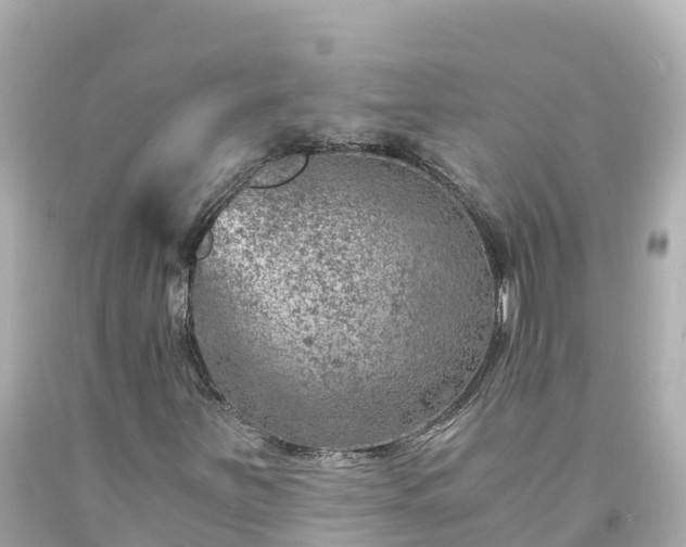 X0000094201251200711021043