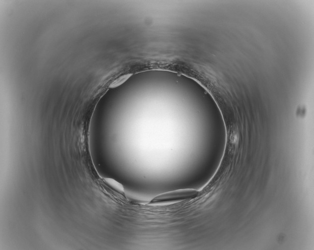 X0000094201252200711021043