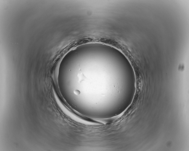 X0000094201253200711021043