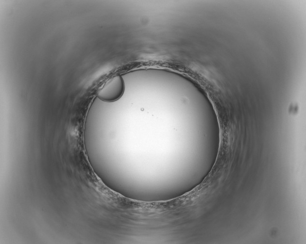 X0000094201254200711021043