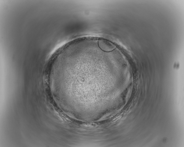 X0000094201255200711021043