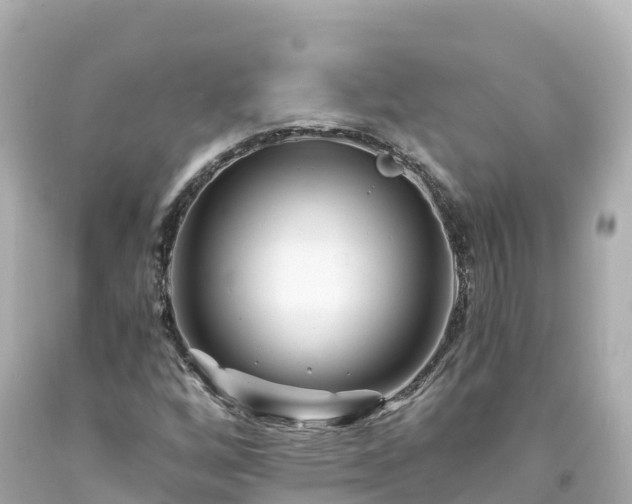 X0000094201256200711021043