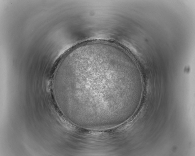 X0000094201258200711021043