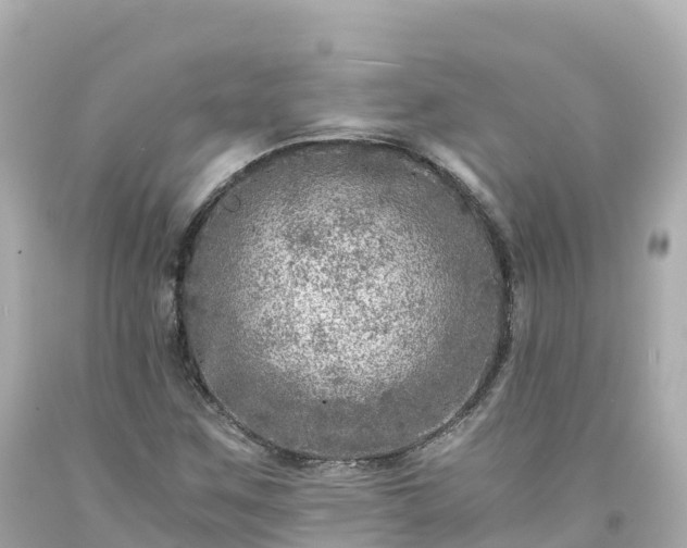 X0000094201259200711021043