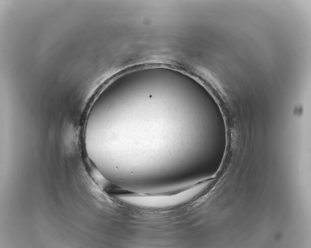 X0000094201260200711021043