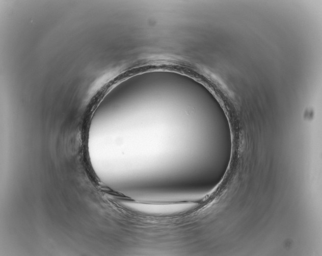 X0000094201261200711021043