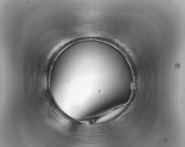 X0000094201262200711021043