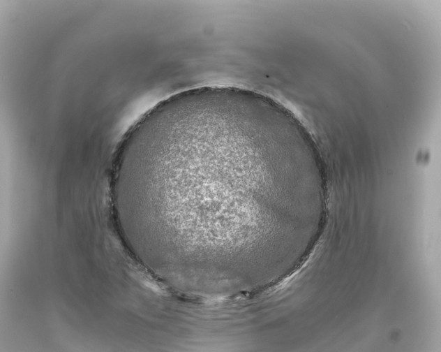 X0000094201263200711021043