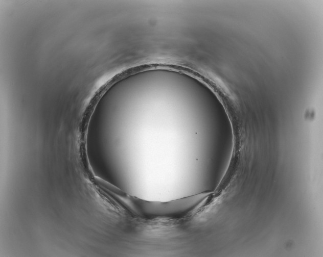 X0000094201264200711021043