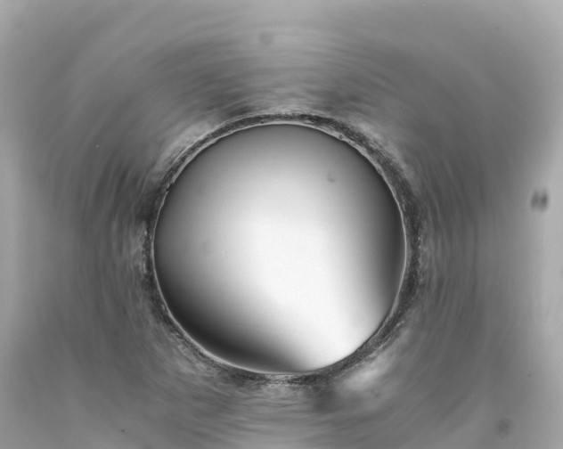X0000094201265200711021043