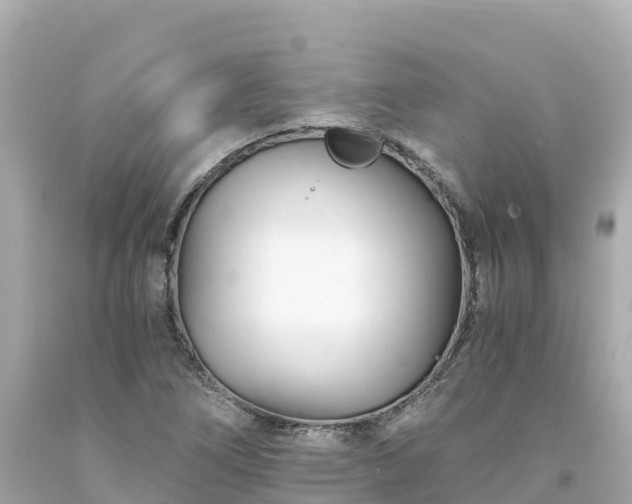 X0000094201266200711021043