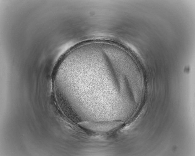 X0000094201267200711021043