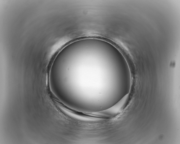 X0000094201269200711021043