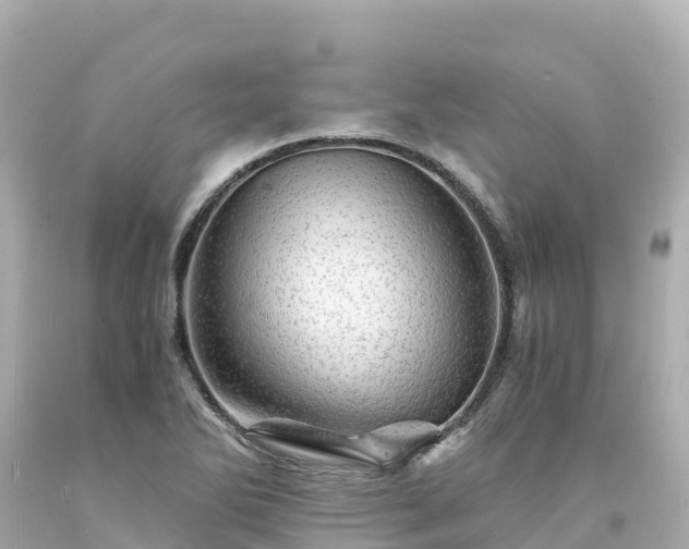 X0000094201270200711021043