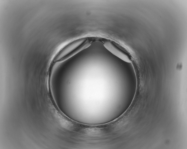 X0000094201272200711021043